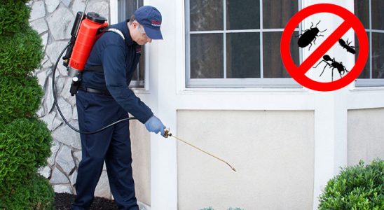 Döşemealtı Haşere İlaçlama böcek ilaçlama ve haşere kontrolü — ilaclama-tr.com